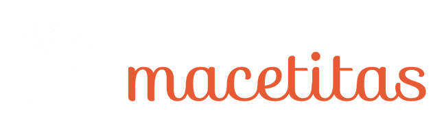 Macetas originales para plantas