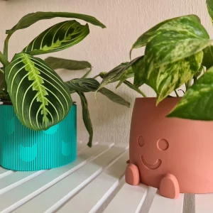 Maceta Sonrisas y Maceta Gatos con plantas