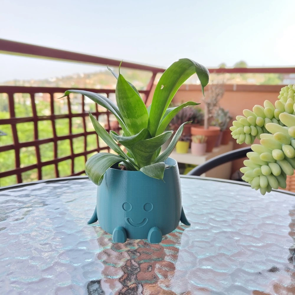 maceta sonrisas en terraza