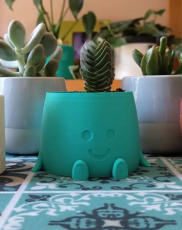 Cactus en macetero sonrisas color azul menta