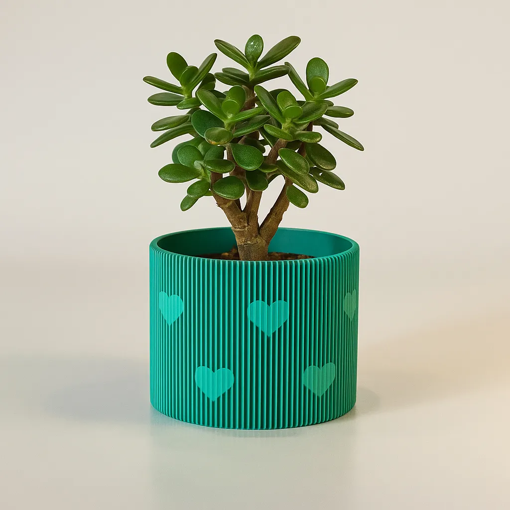 Un árbol de jade en una maceta azul menta